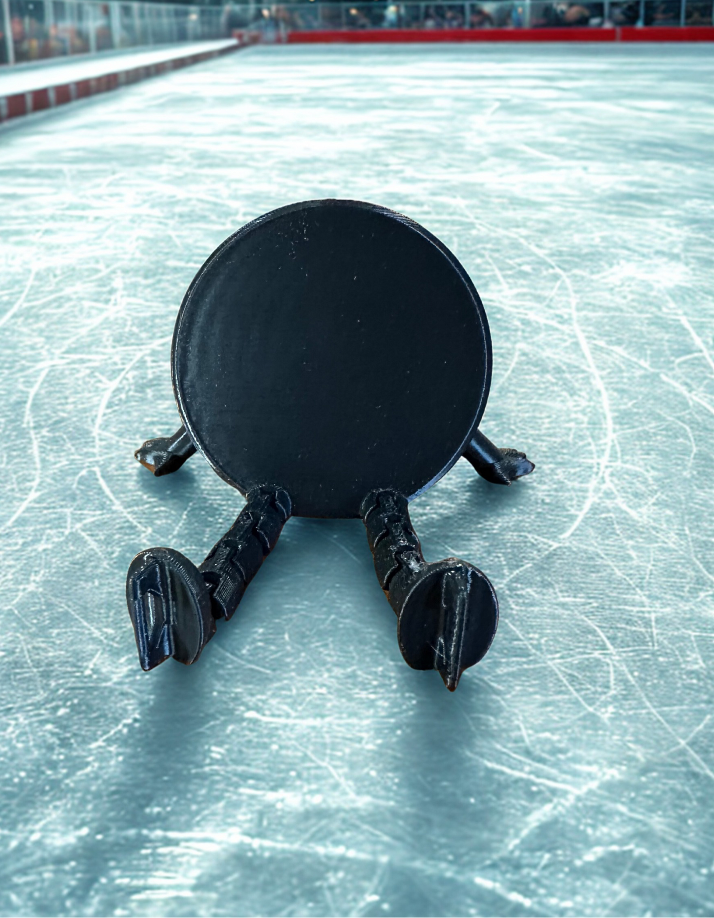 Puck Buddy